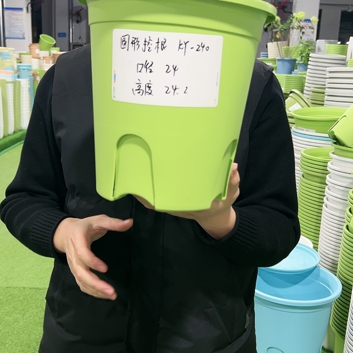 正品圆控口24高24果绿色8只无托