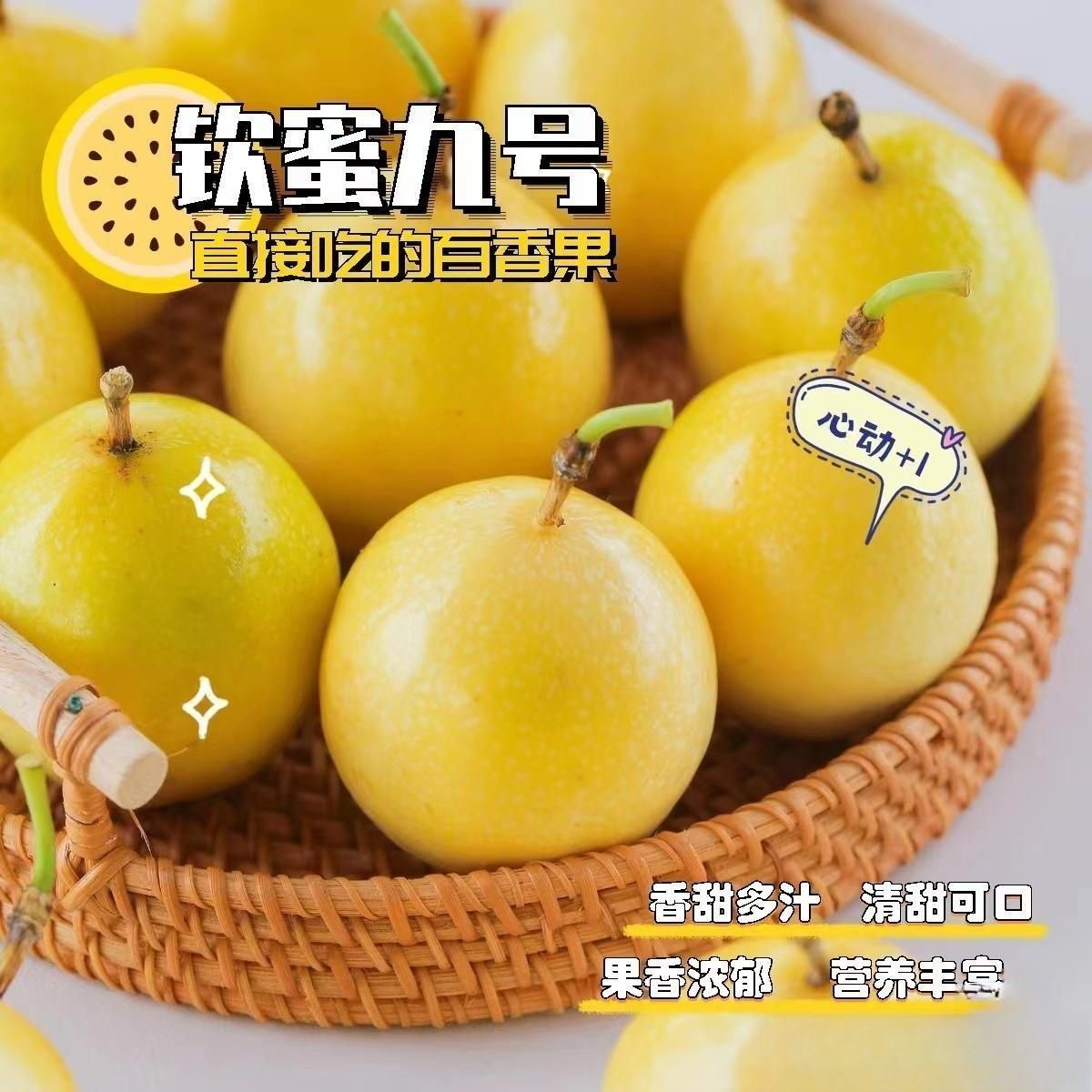 云南路江坝新鲜当季钦蜜9号饱满多汁百香果