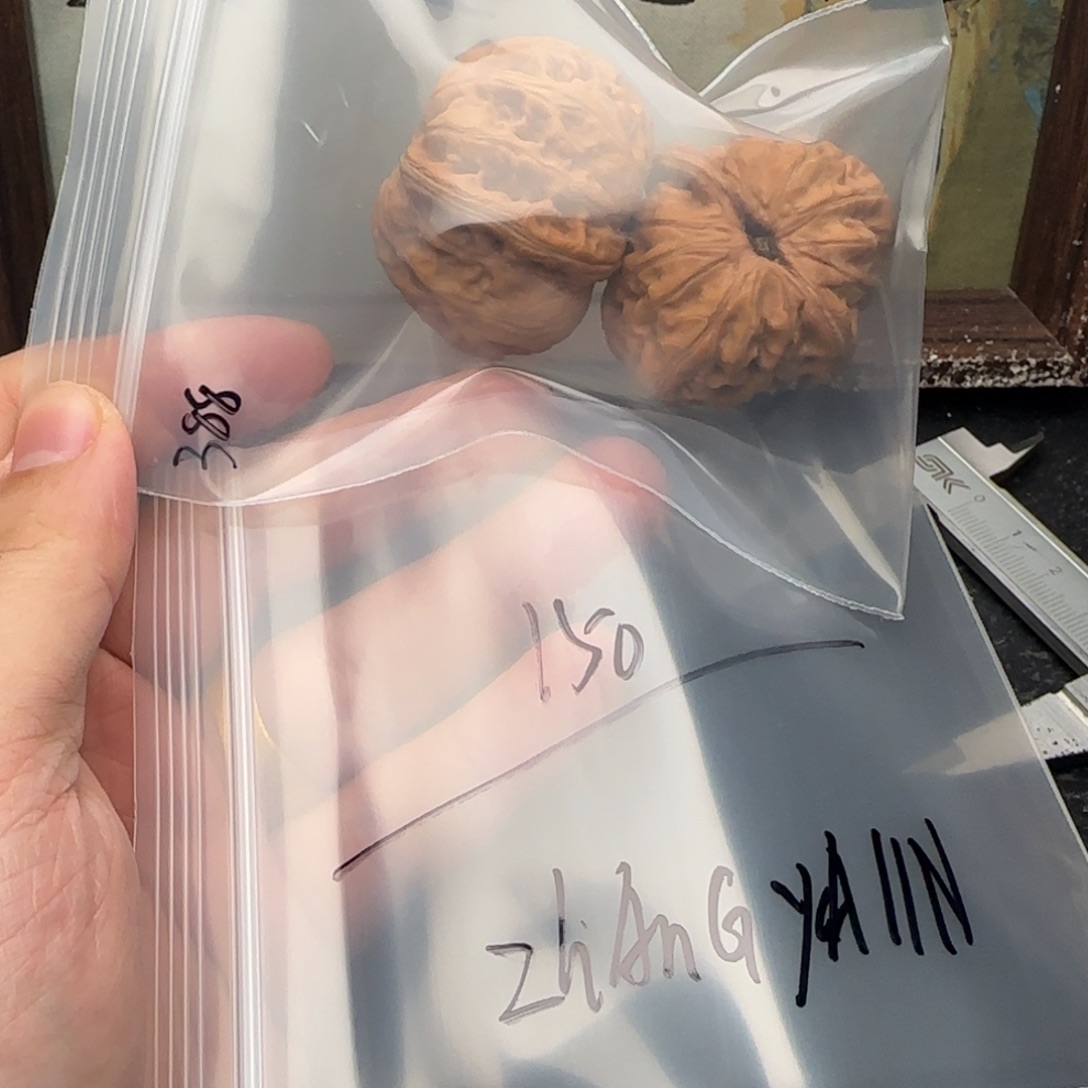 吊坠文玩核桃150元宝