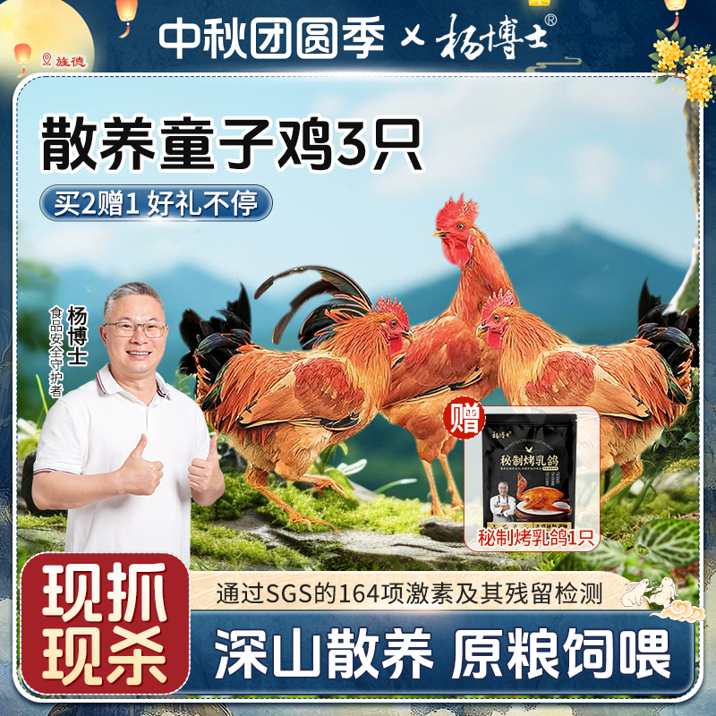 【3只童子鸡送秘制烤乳鸽】杨博士深山放养正宗土鸡农家散养清蒸嫩