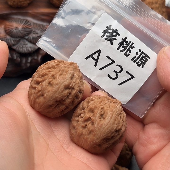 (***生吊坠文玩核桃霸王龙