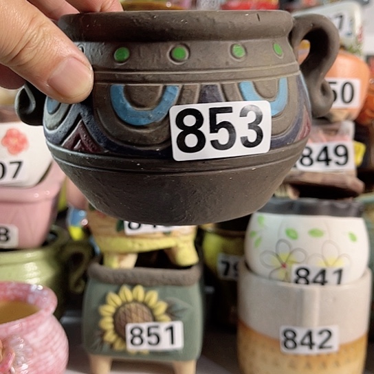 红陶多肉植物花盆