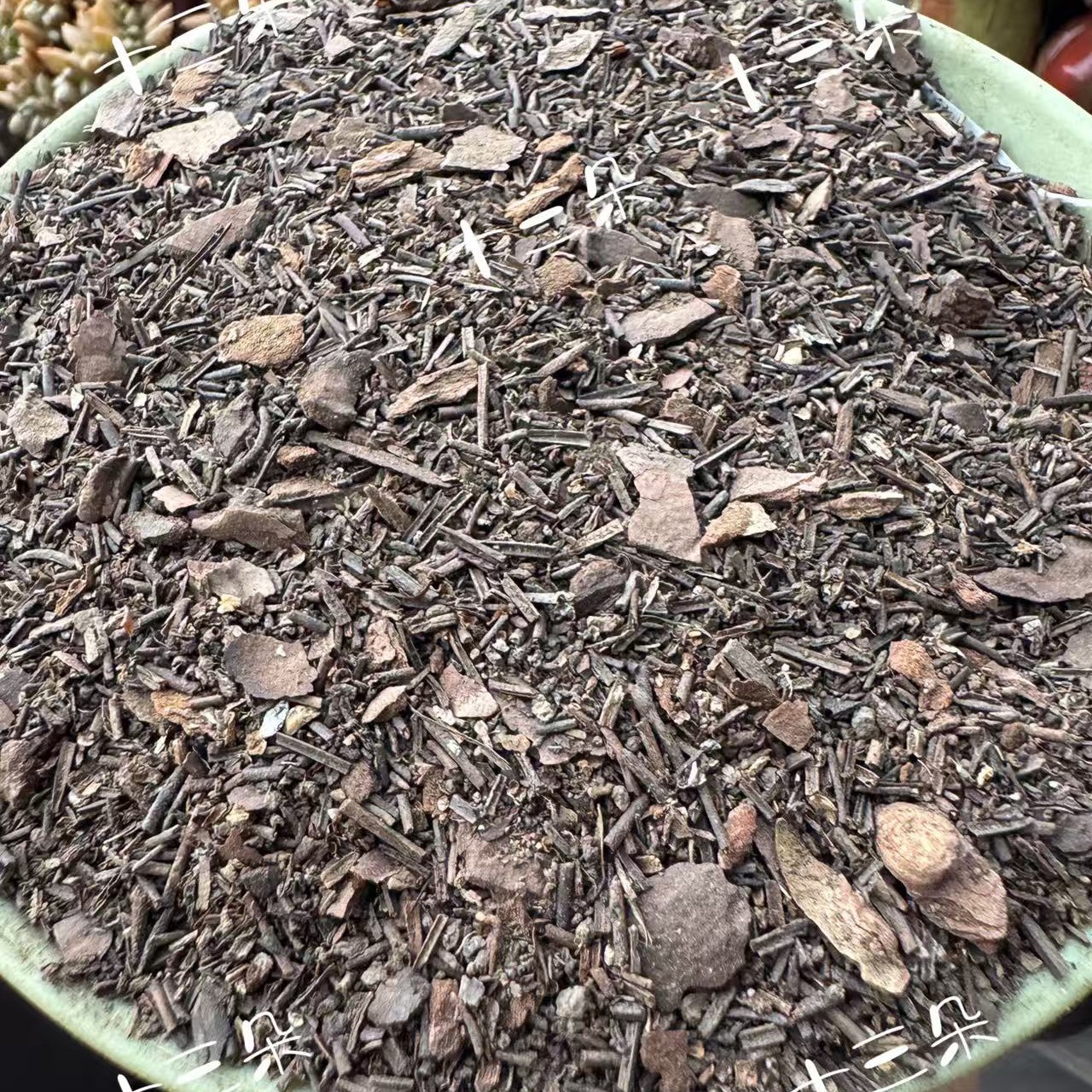 〖十三朵专属〗多肉松针育苗土含松磷优质配料