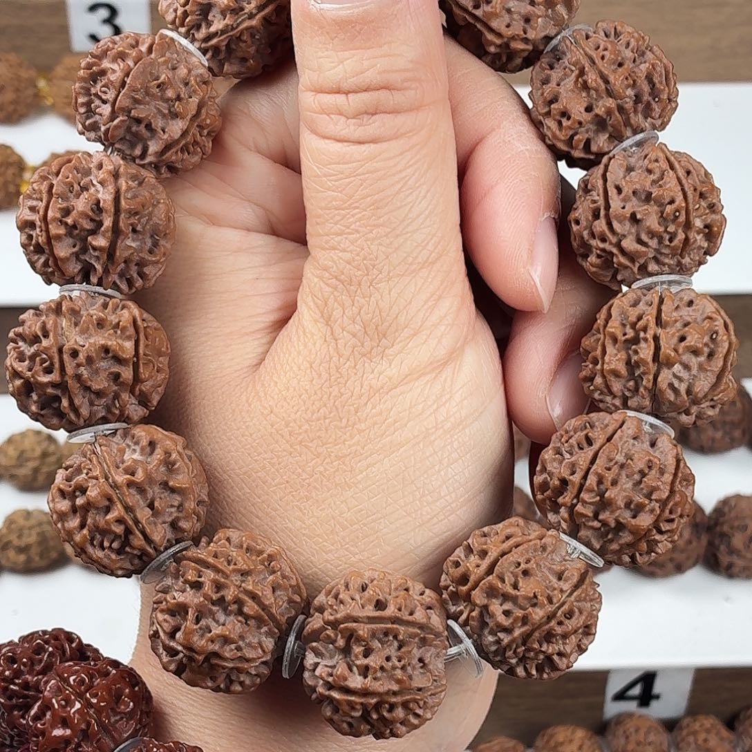 金刚菩提手串原生态精品6瓣龙灯