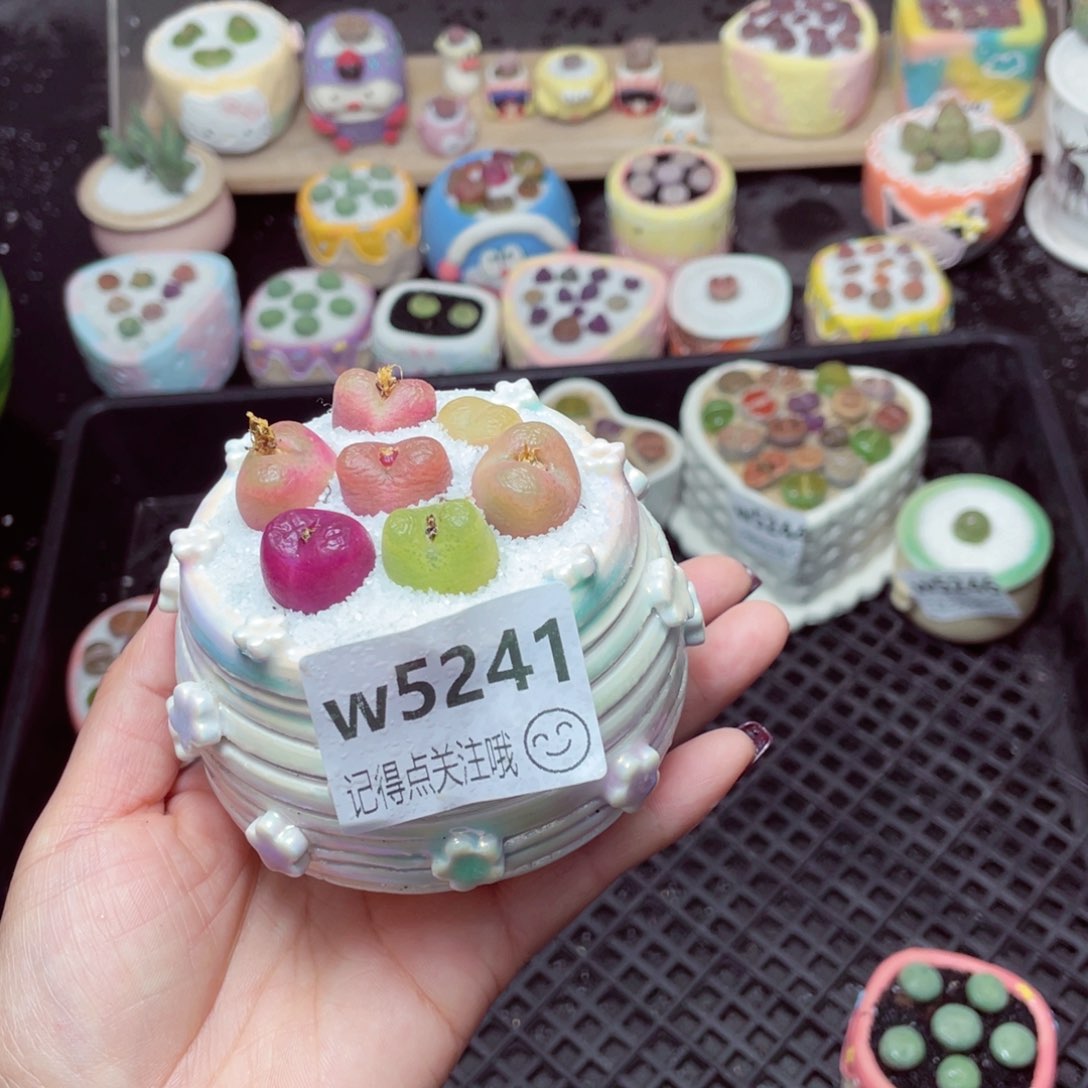 w5241 -零下地区拍保温箱-15支持寄养