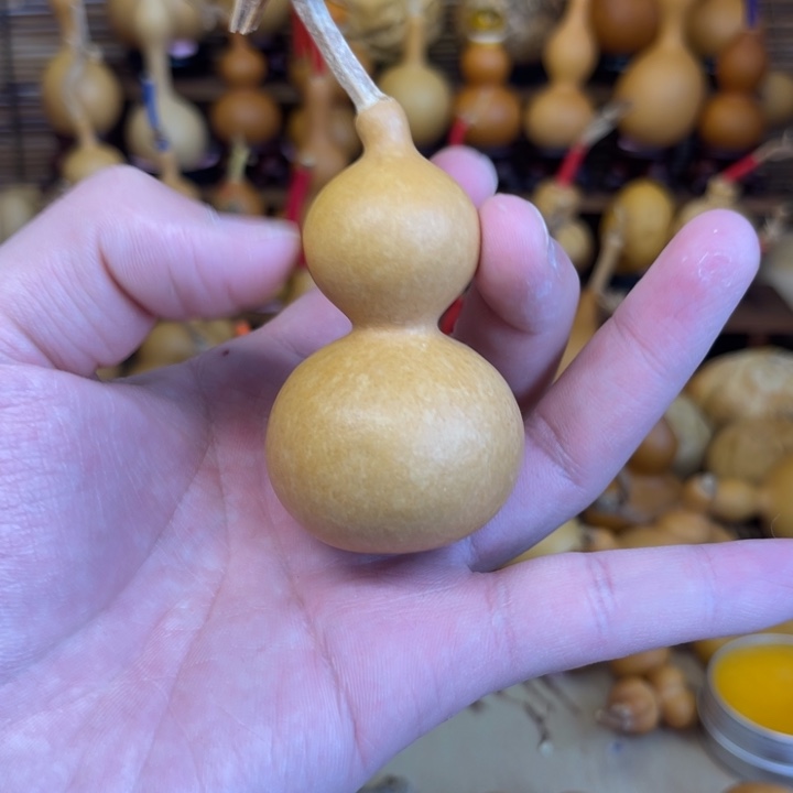 花叶病天津嘴厚皮响籽微瑕5