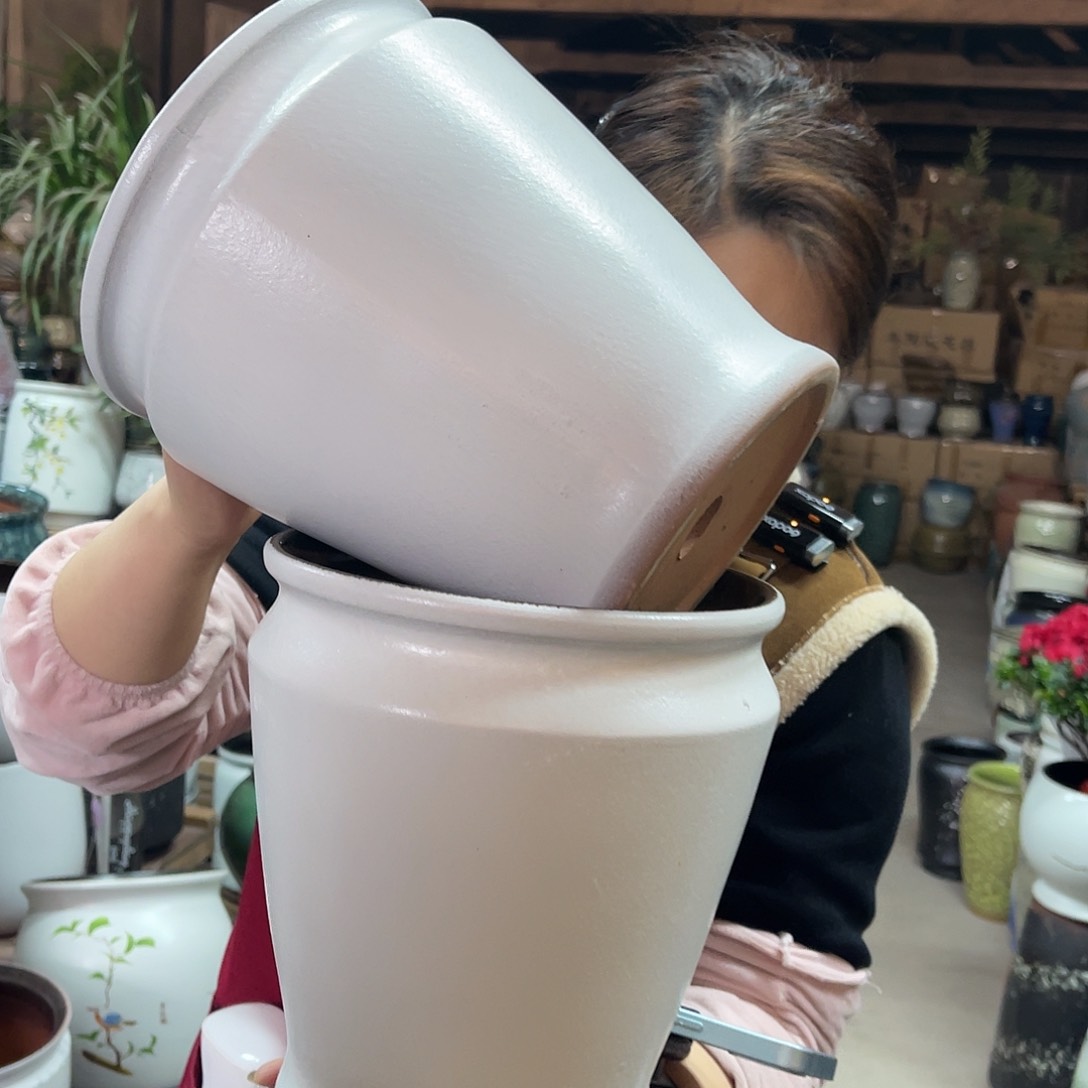 红陶高度22口径18