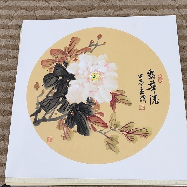 国画花鸟的翅膀和50.50