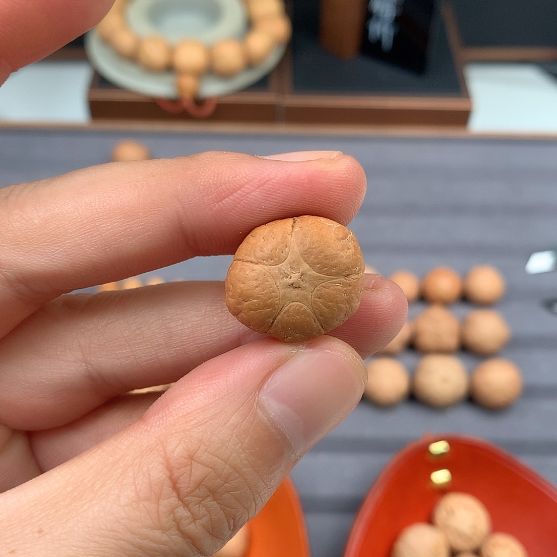 手串凤眼菩提20+五星，非质量问题开孔不退