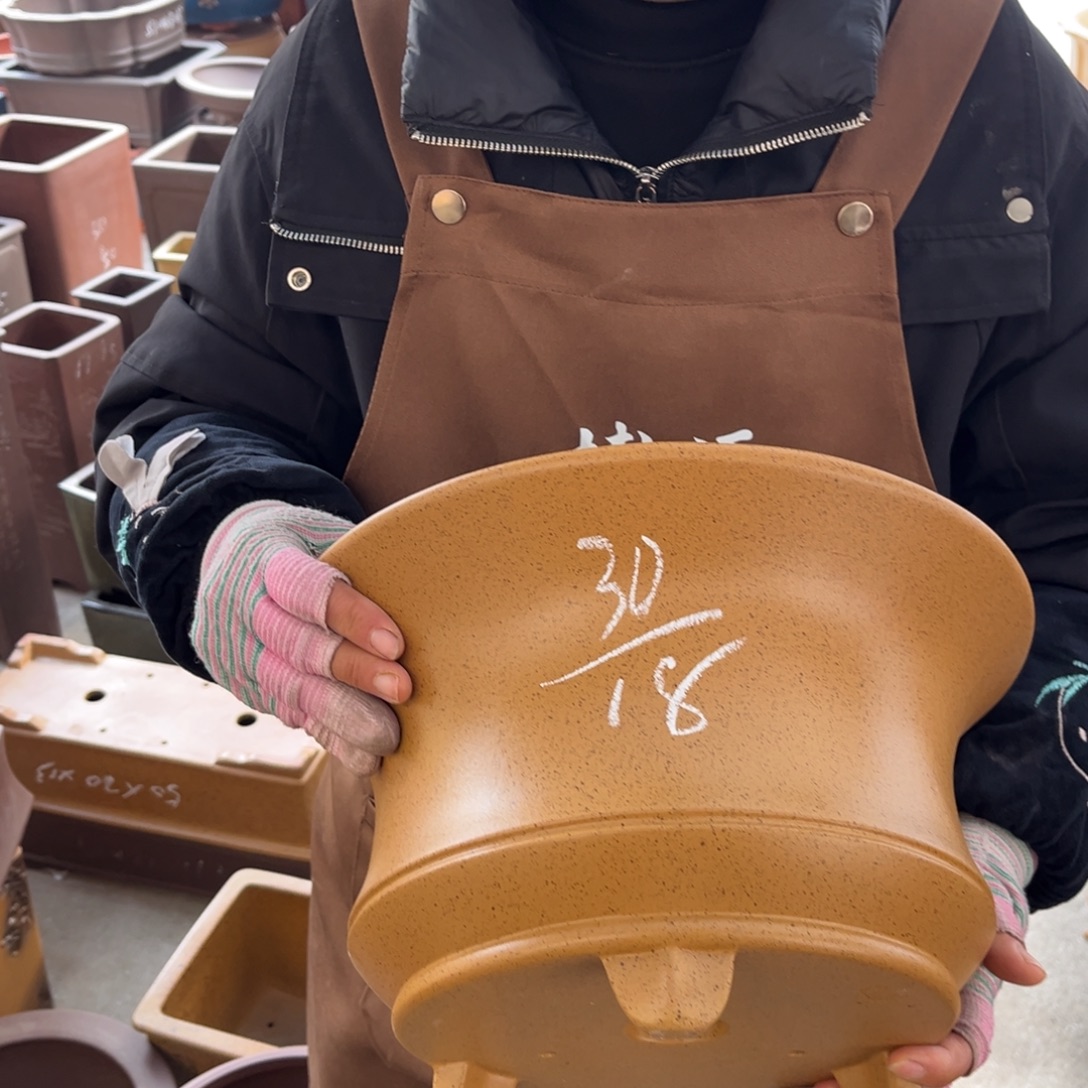 花盆紫砂盆景艺术