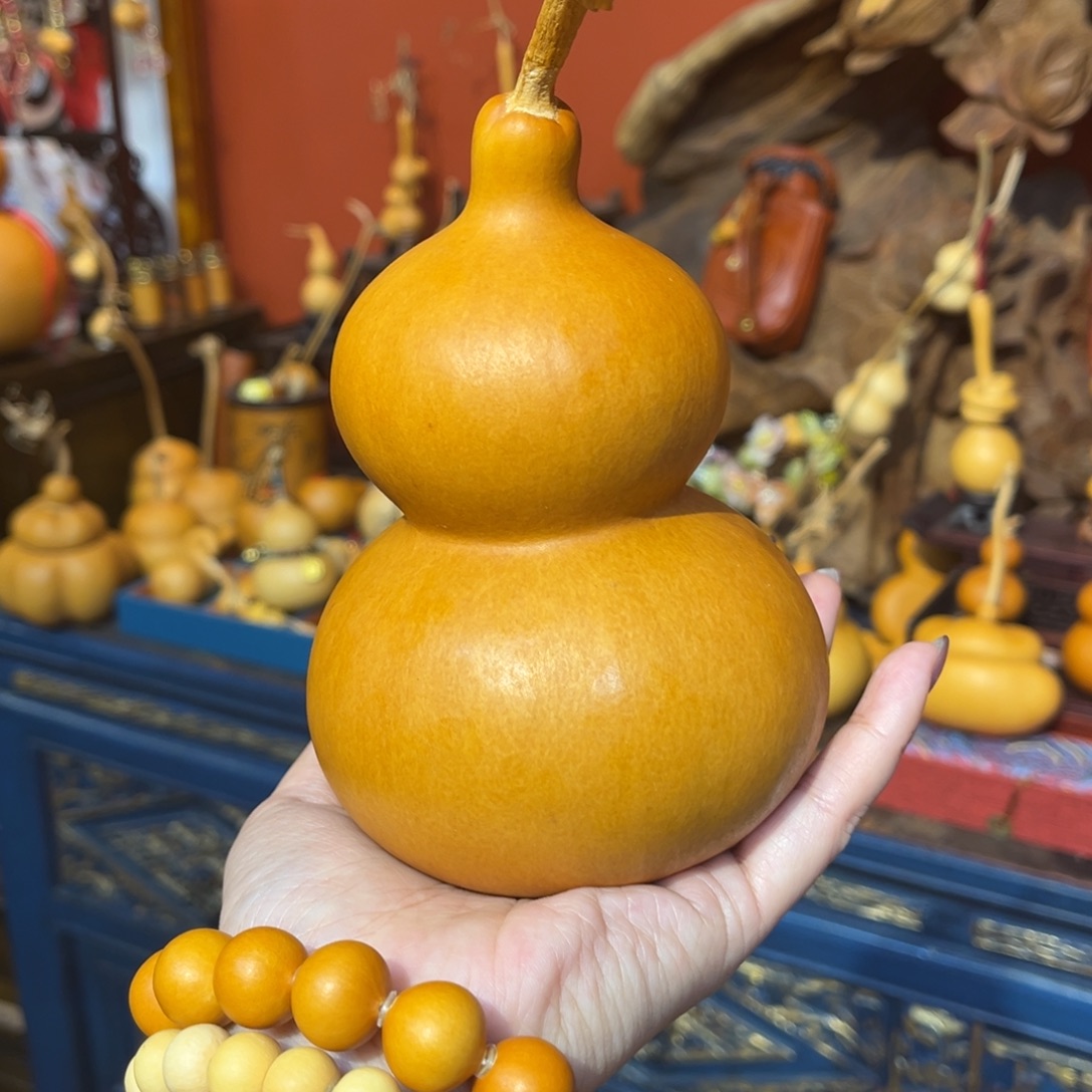 *****发发发发发发发发发发发发发发发