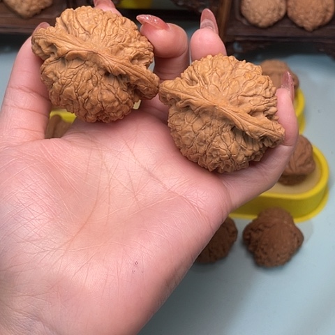 龙鼎大官帽5.5尺全品