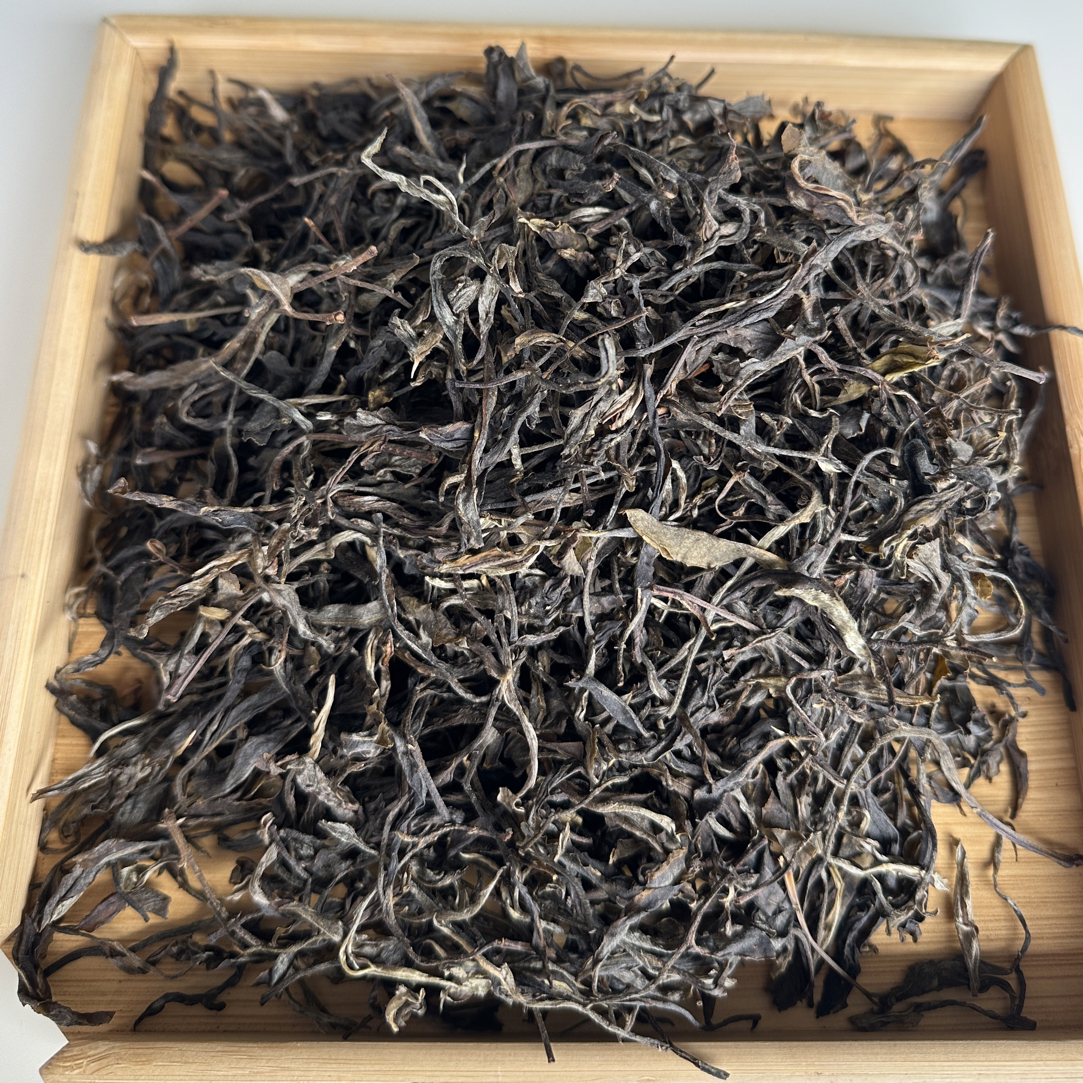 普洱生茶单株古树茶2025年  250g  【1229】