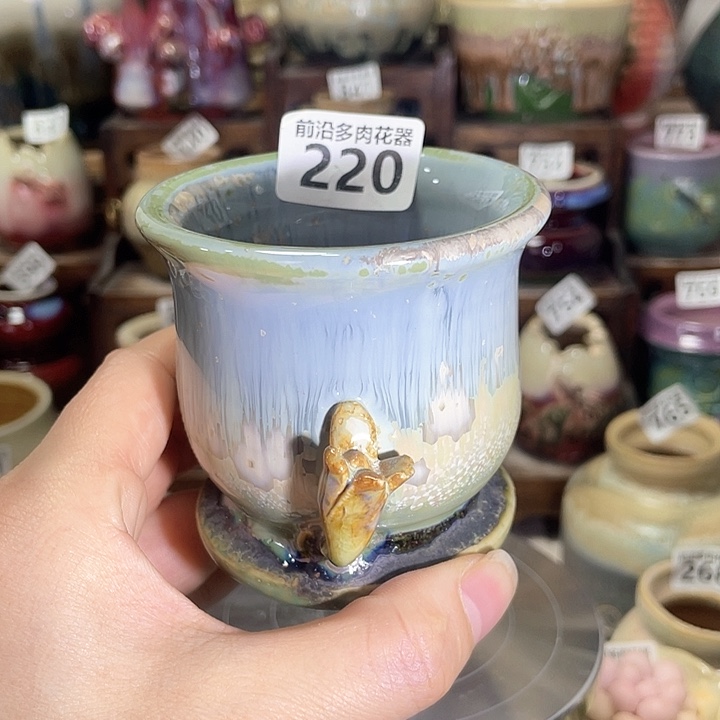 红陶内口径6高度7