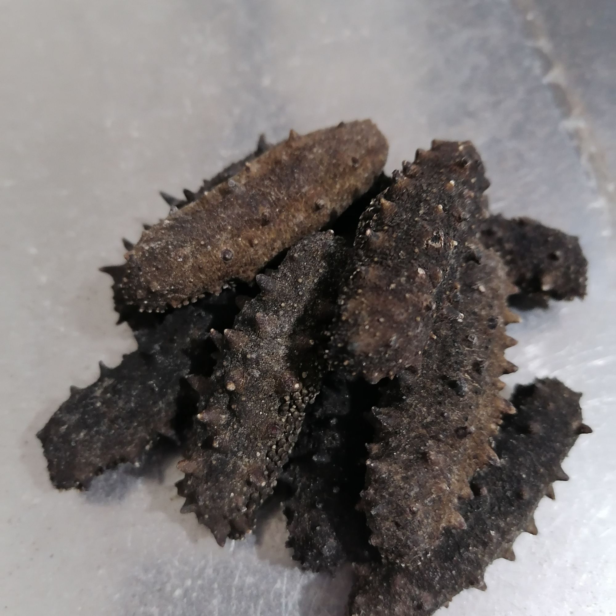 正宗大连淡干海参