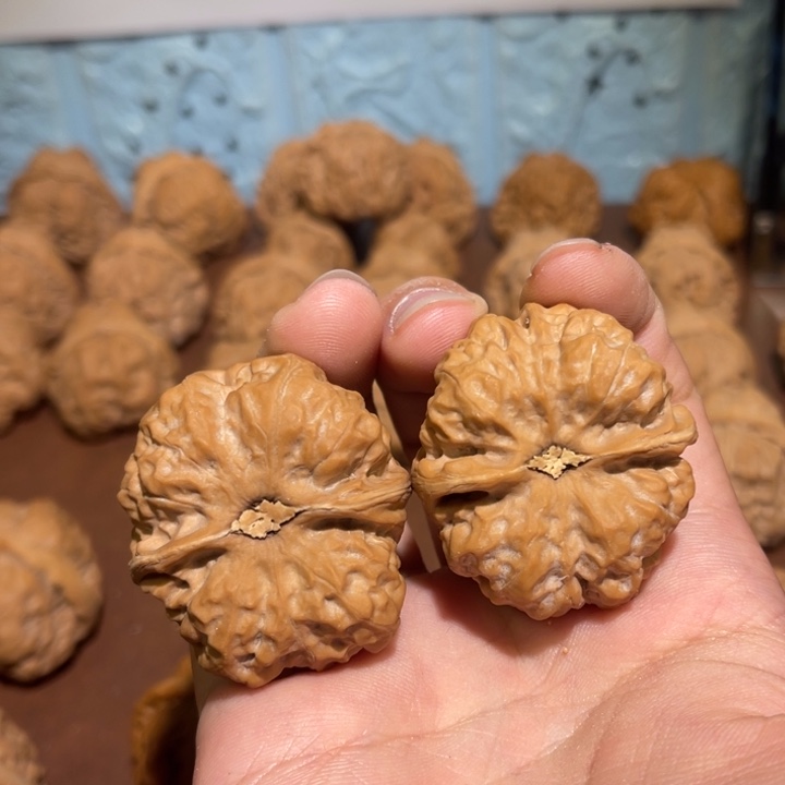 猫***王核桃手串/手链111111111