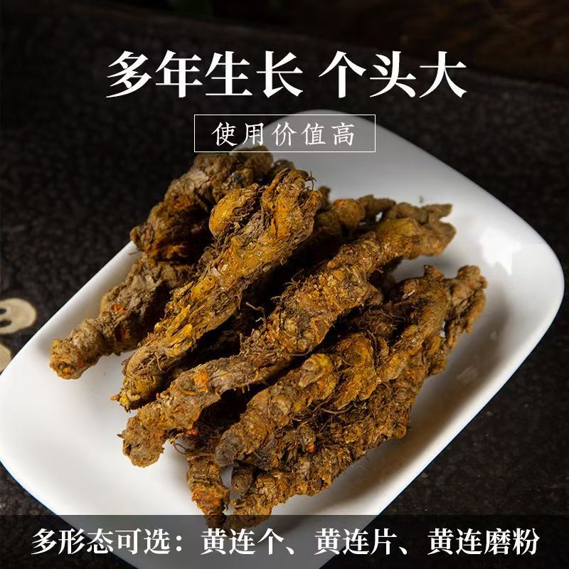  霍哥滋补 【黄莲】