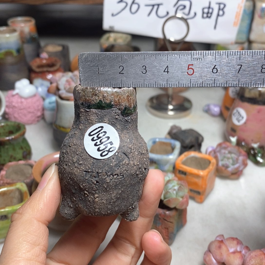 特价· 拍5送一个小礼物