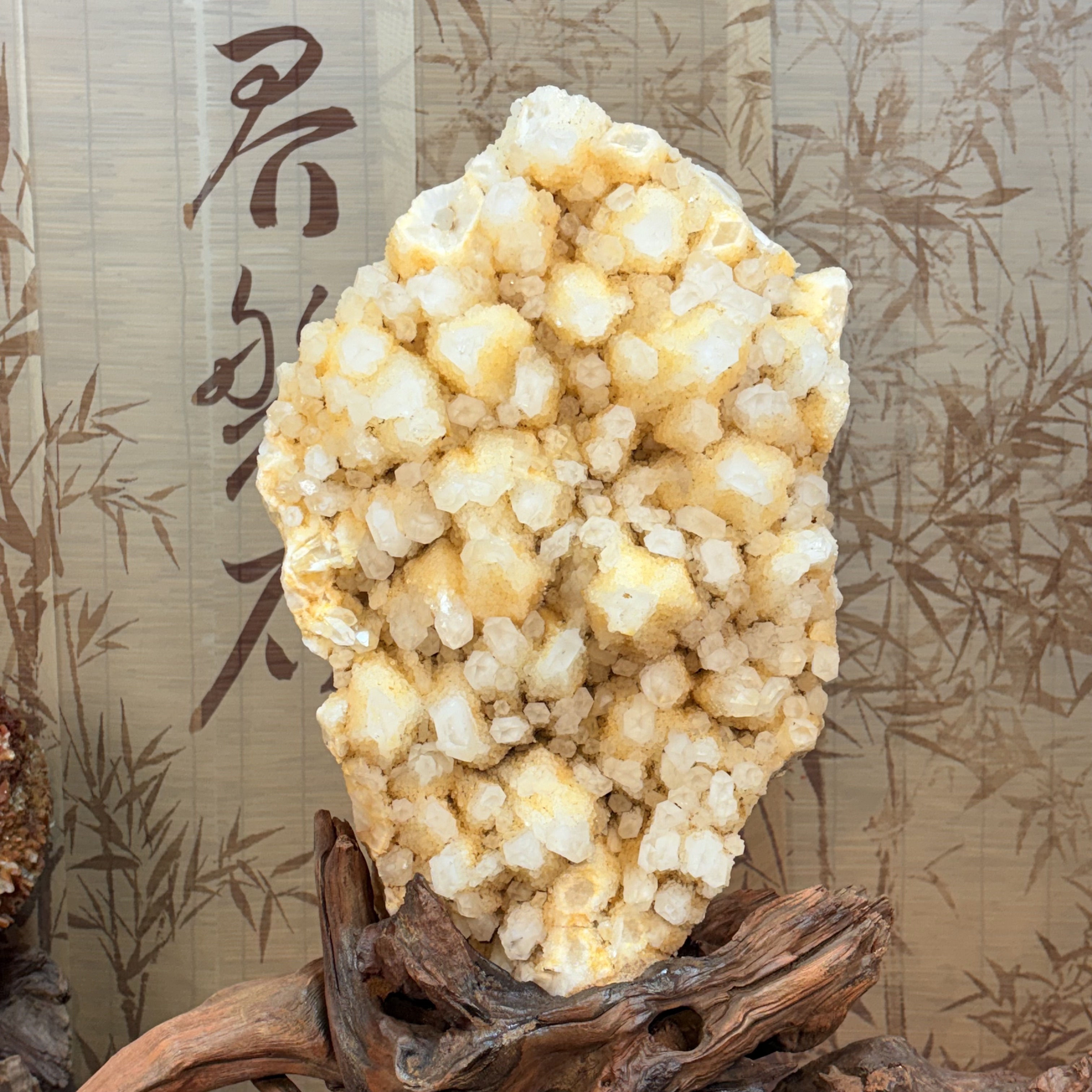 黄金菠萝骨干古老寺庙