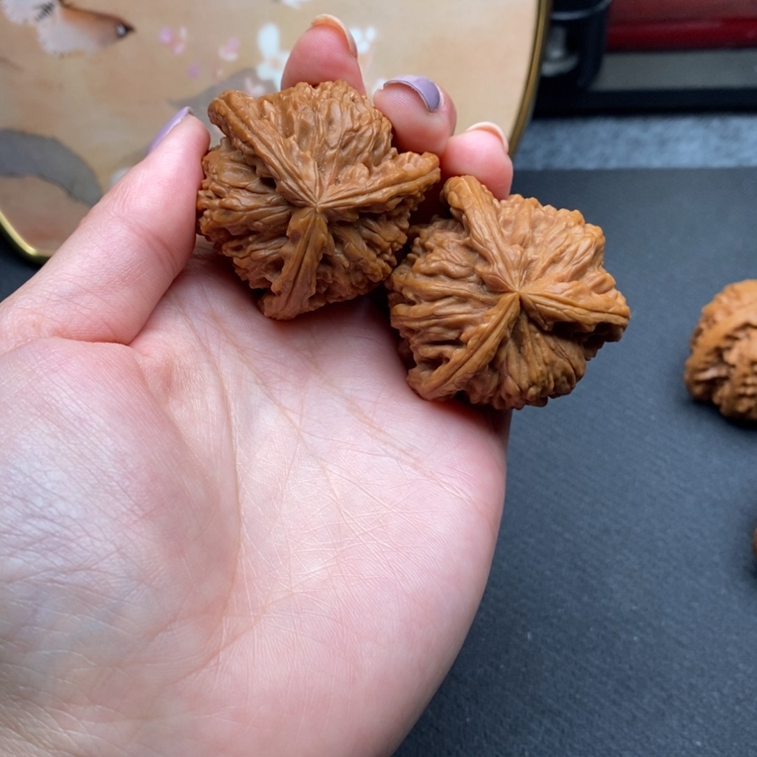 男*.白狮子211111111111