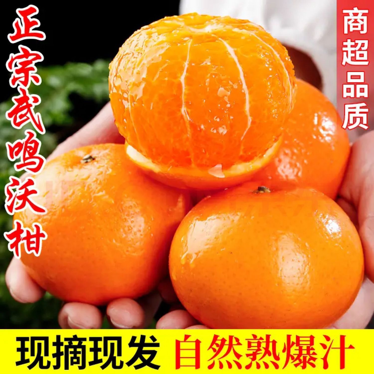 F1【正宗广西武鸣沃柑】5/10斤橘子新鲜水果当季一级桔子大果整箱