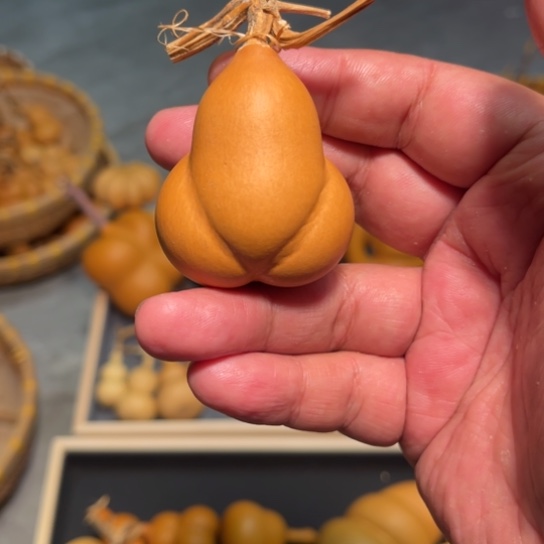 看*说葫芦葫芦葫芦葫芦