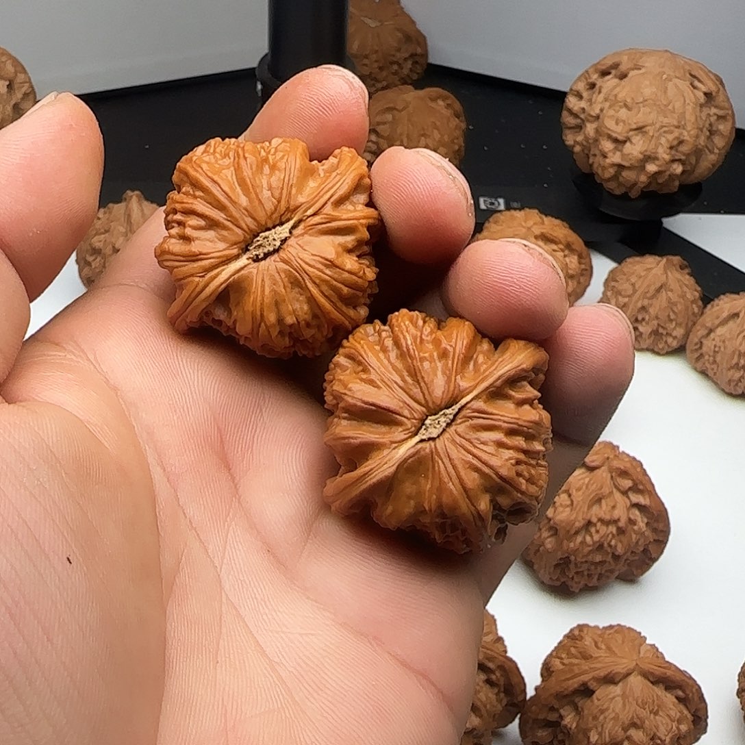 笑***勒吊坠文玩核桃0001白狮子白狮子