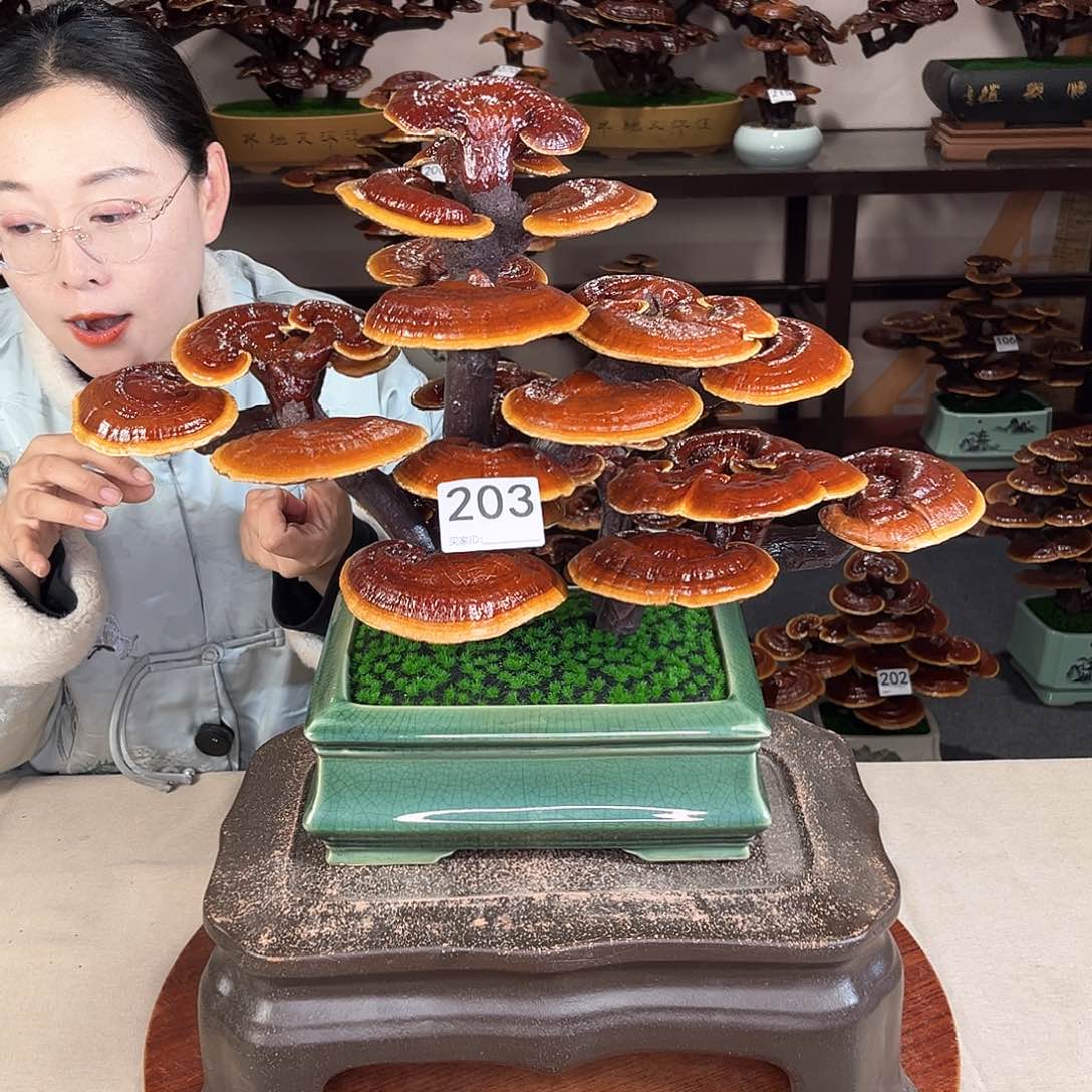 万事如意88888888203