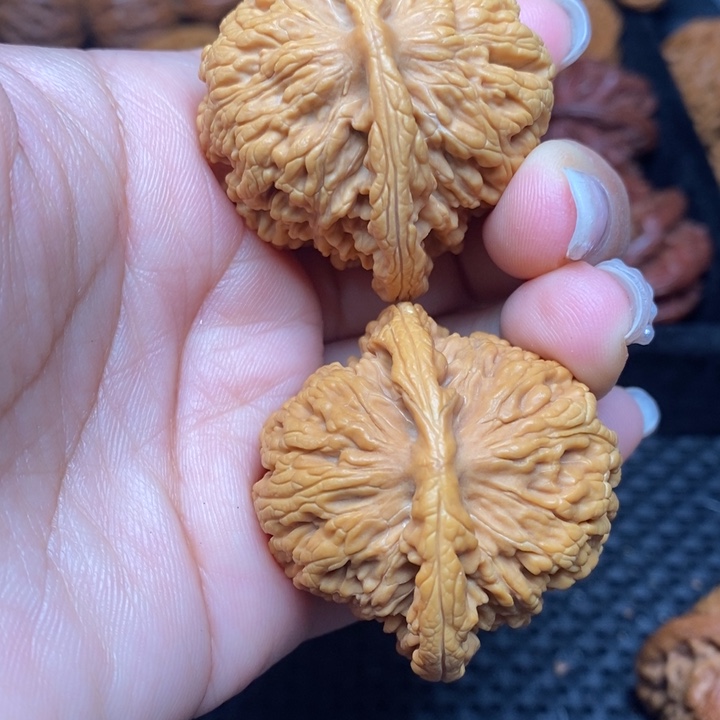 秦岭野生文玩核桃10