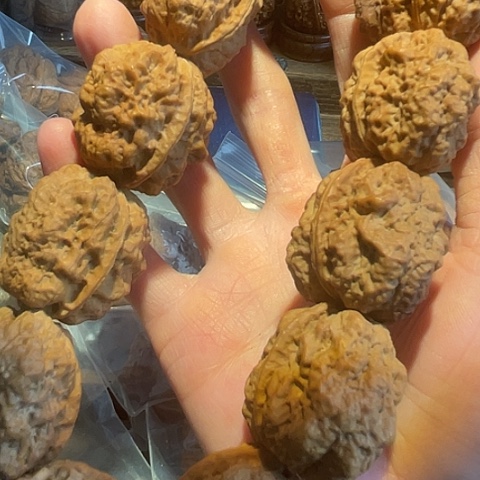 文玩核桃手串盘龙金蟾12粒36