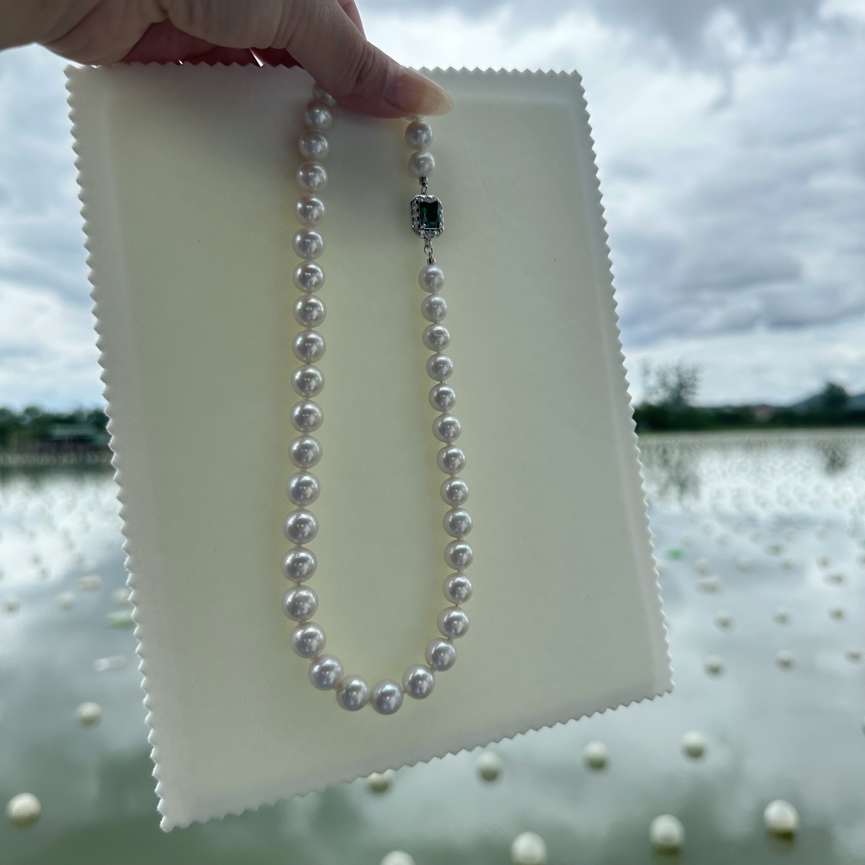  10-11mm天然珍珠项链   大气富贵款