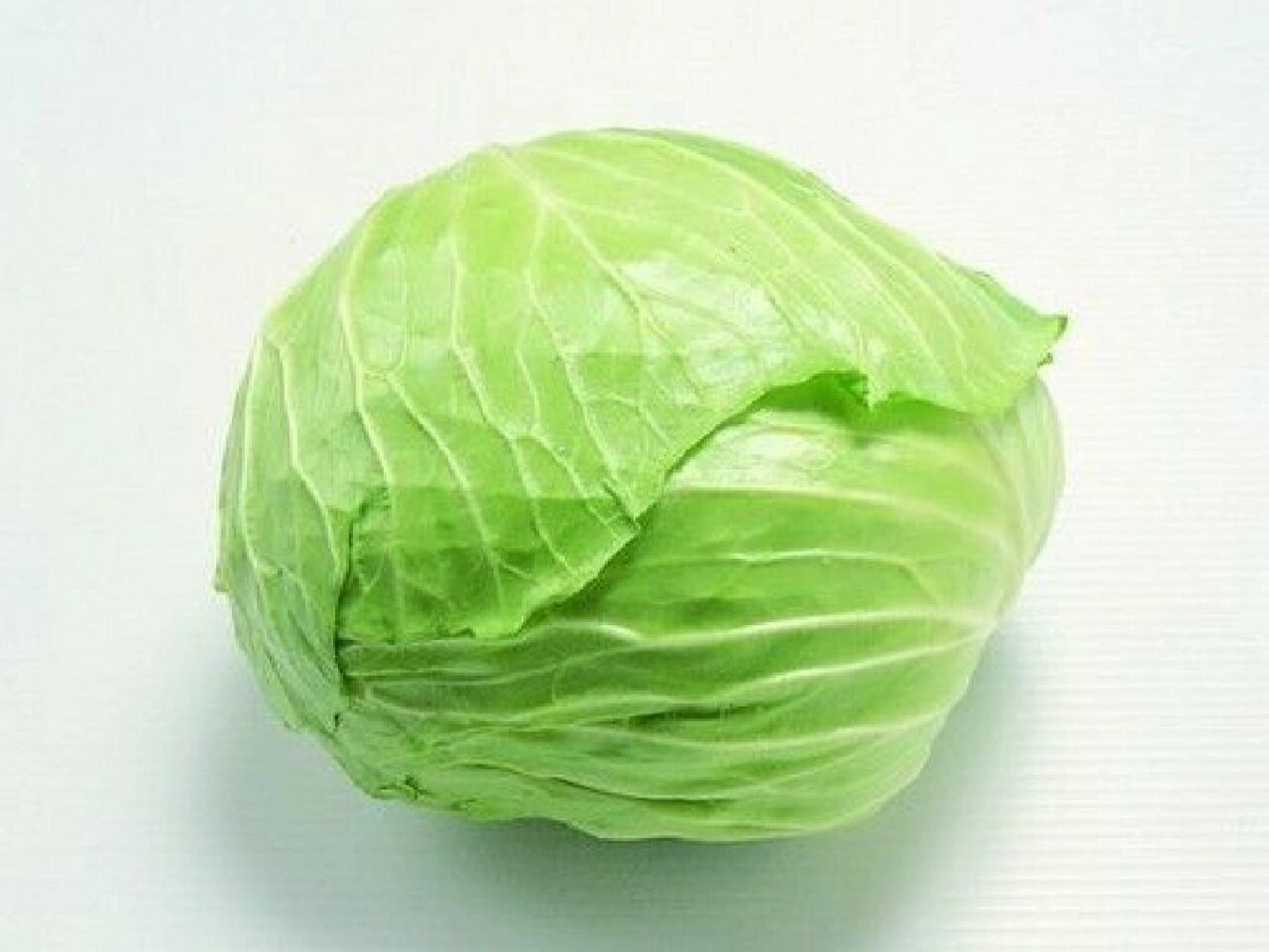 新鲜自种高山包菜