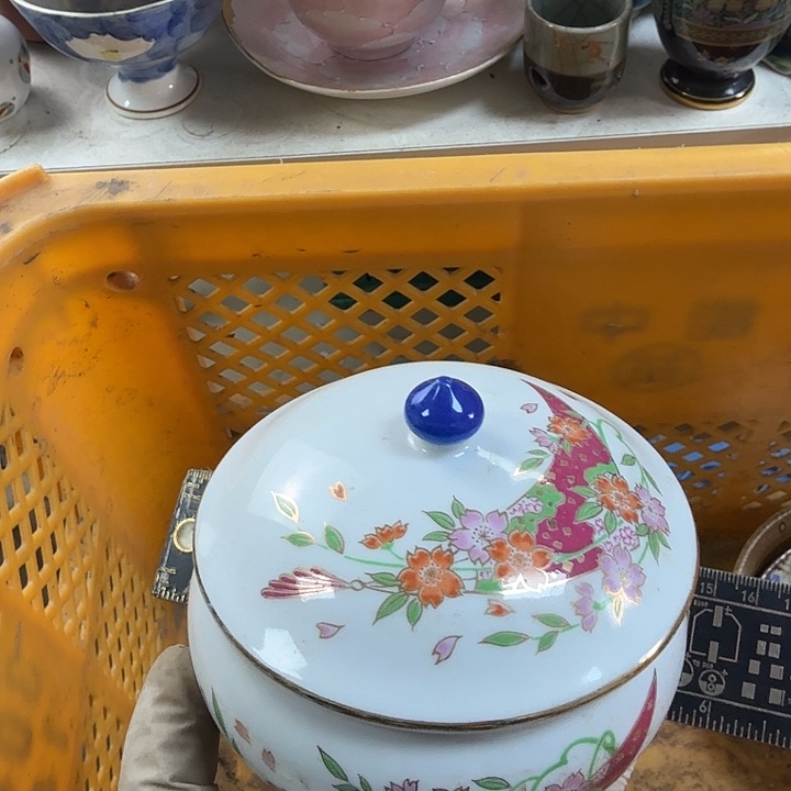 碟开播啦….开播啦