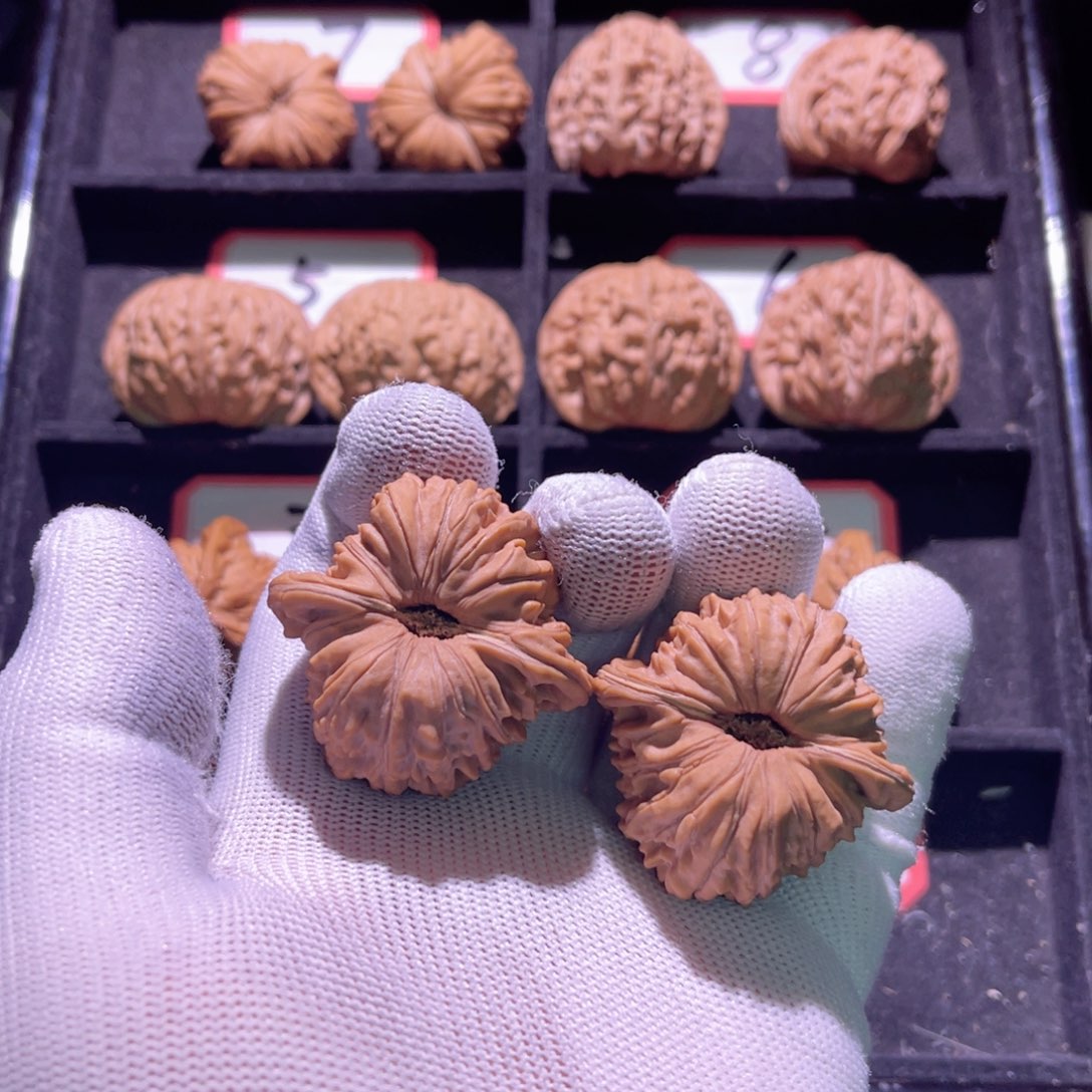 吴*好秦皇岛山地果43楼