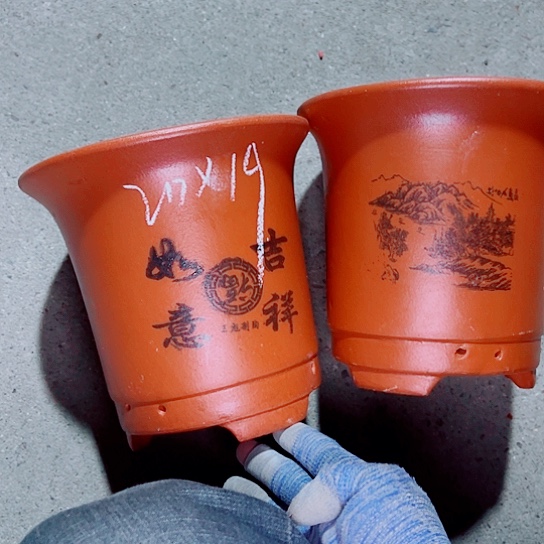 红陶紫砂紫砂紫砂