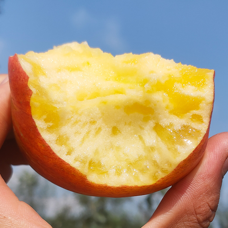 【正宗昭通红露冰糖心丑苹果】2025年云南昭通丑苹果新鲜水果2/5斤