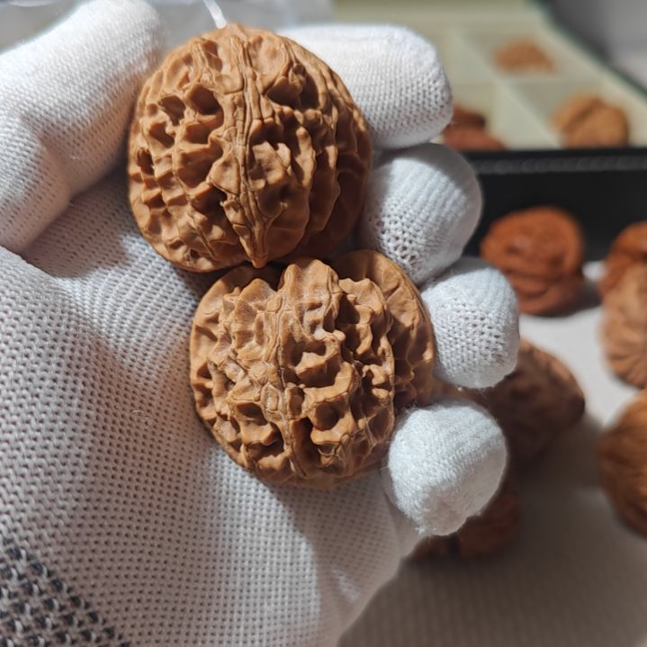 文玩核桃把件文玩核桃，一物一图。