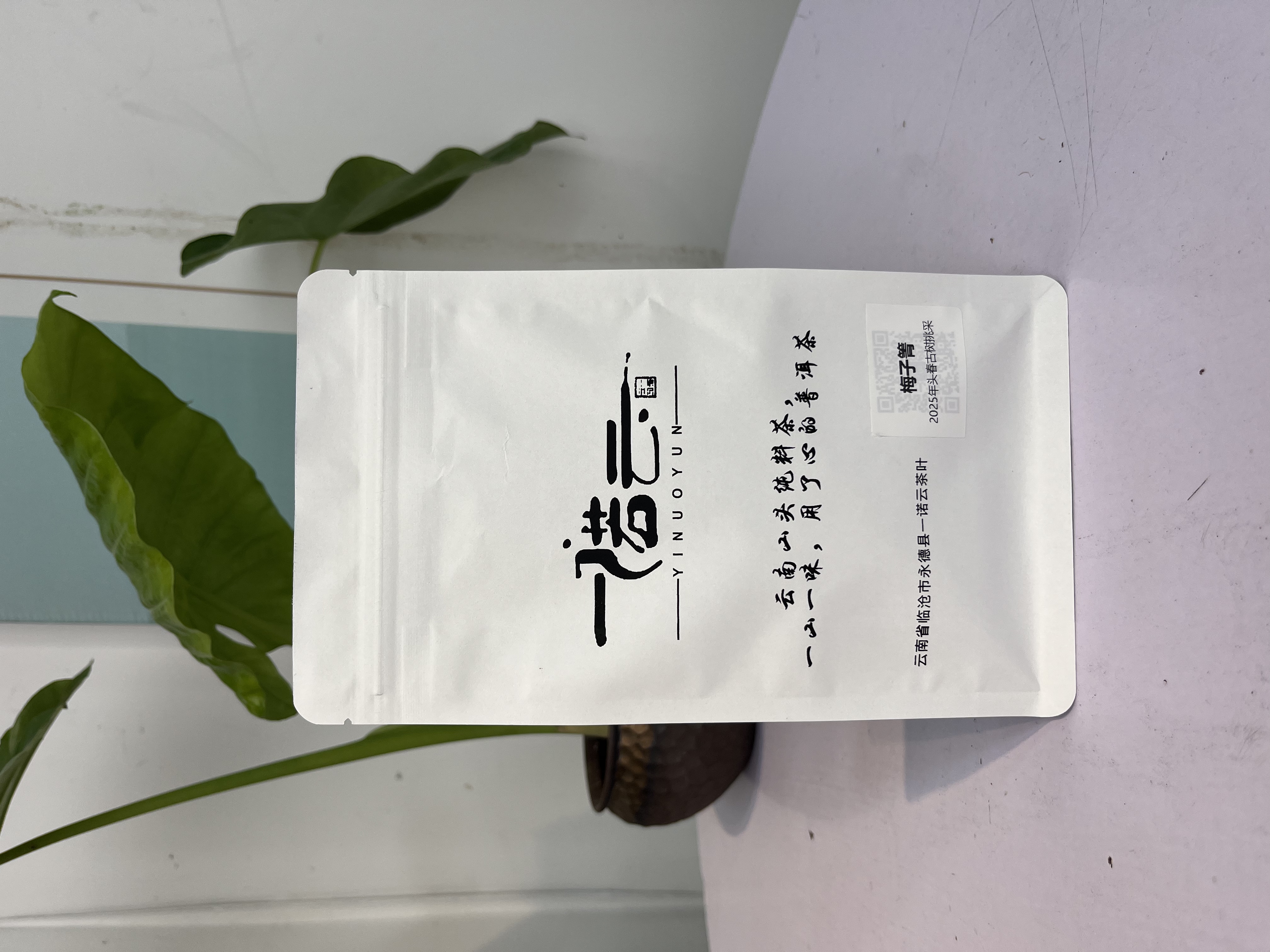 2025年梅子箐古树头春桃采普洱茶生茶