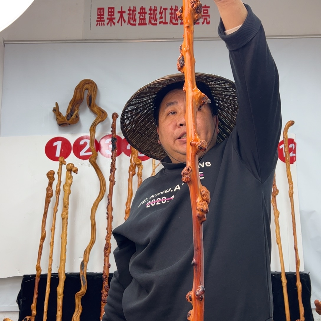 用***8黑果木其他黑果木063