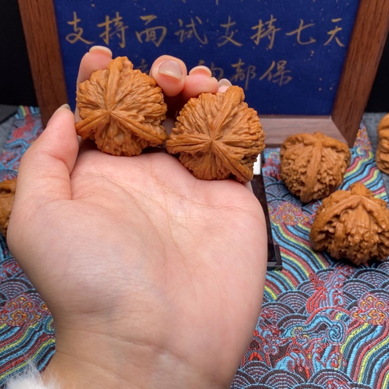 【闪购商品】苦**技白狮