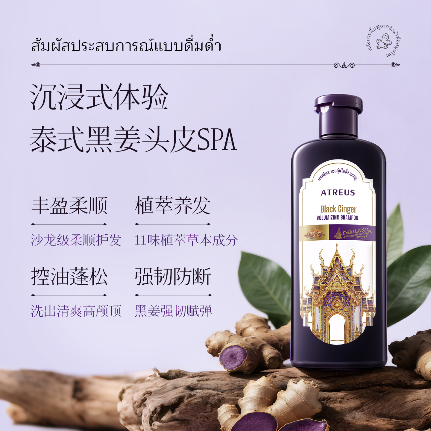 泰国进口爱醇诗ATREUS黑姜丰盈洗发水