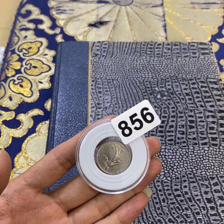 普通金属币哦哦哦哦哦哦