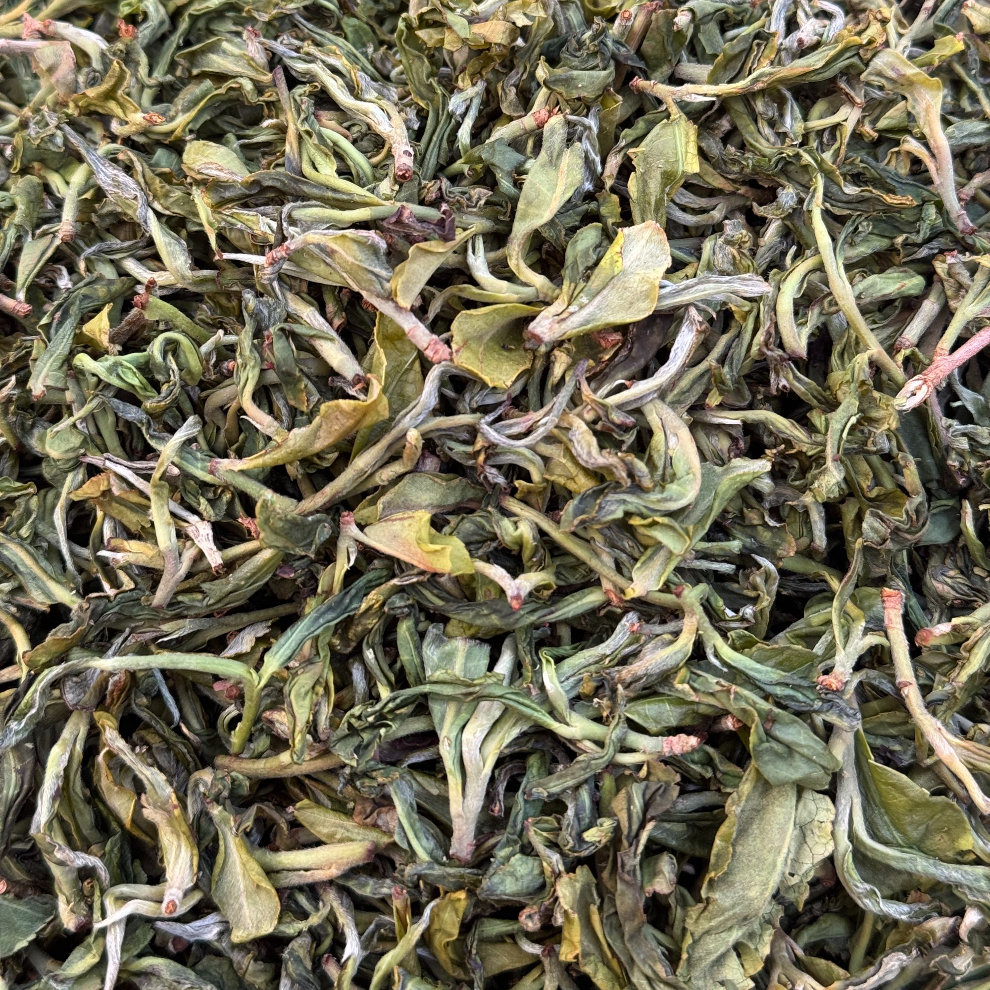 2025年10-30日王子山一号地100克散茶普洱生茶代拍