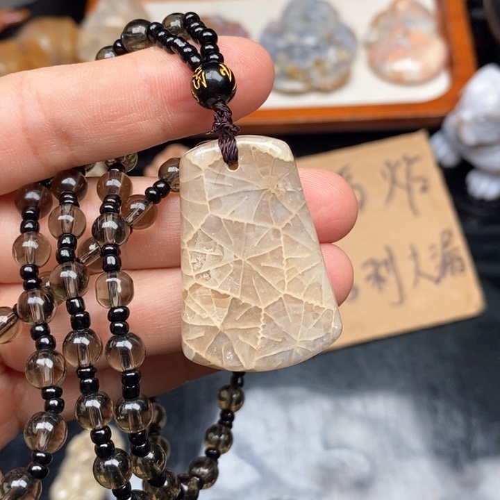 硅化珊瑚（珊瑚玉）颈饰未镶嵌莫*