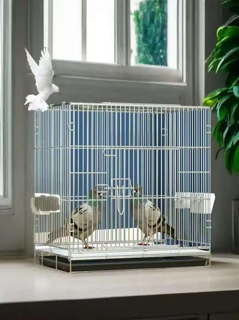家用大号带隔断鸽子繁殖笼配对笼适合肉鸽观赏鸽使用