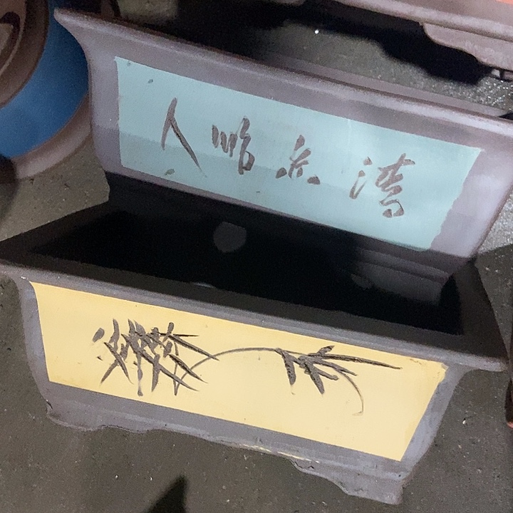 32花盆花盆花盆花盆花盆