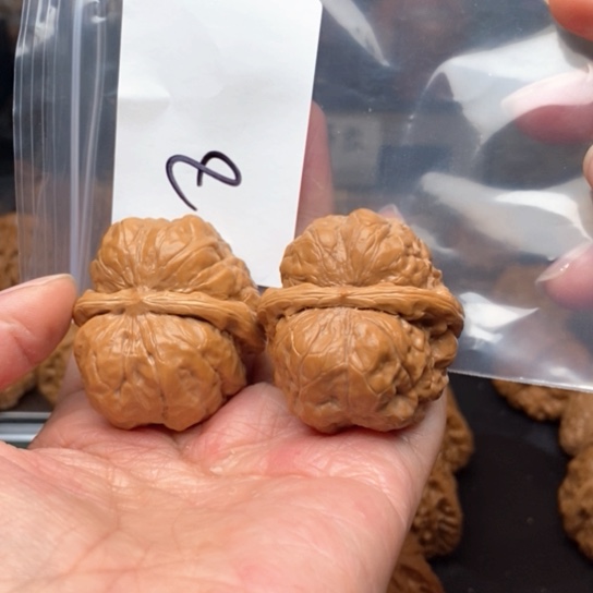 桃核吊坠8蛙蛙蛙蛙