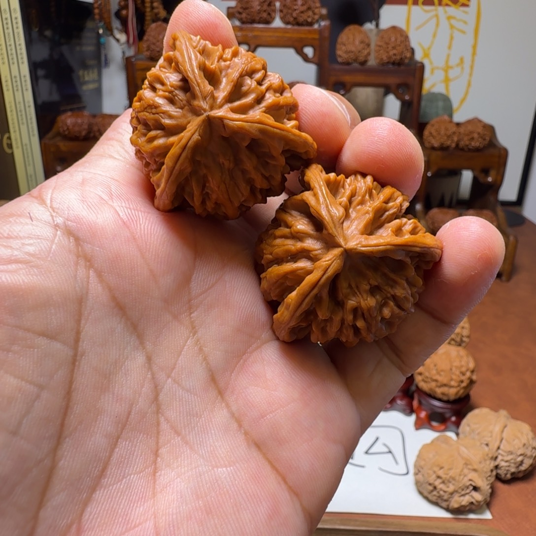 道哥俱乐部f全品秦闷三棱39