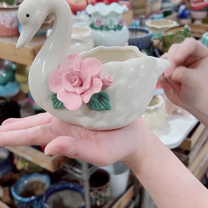 有孔，凑单福利满10元发货陶瓷多肉花盆！