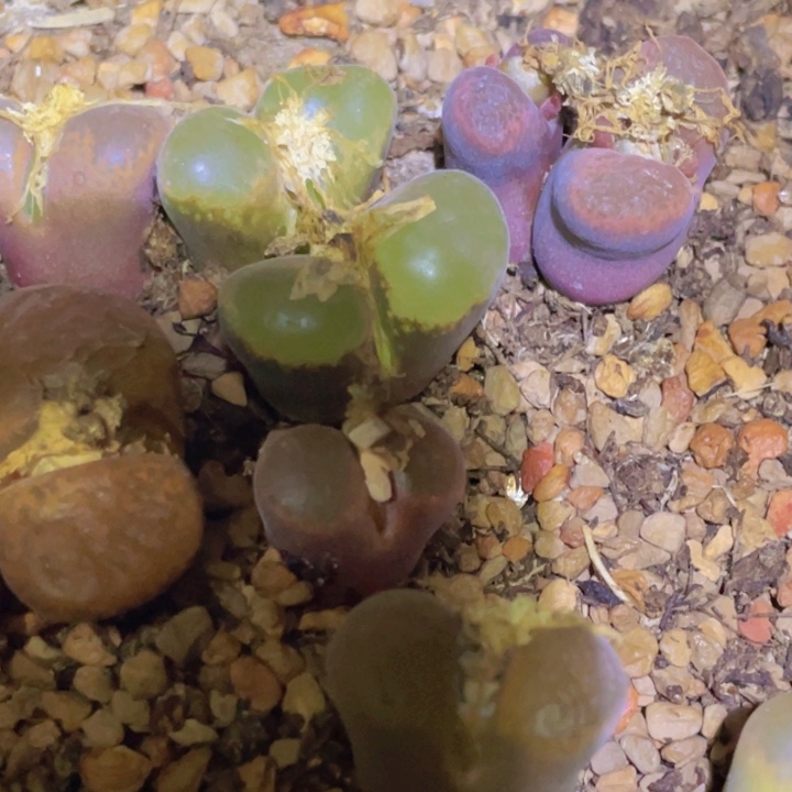 189。9 9899 988998888888888